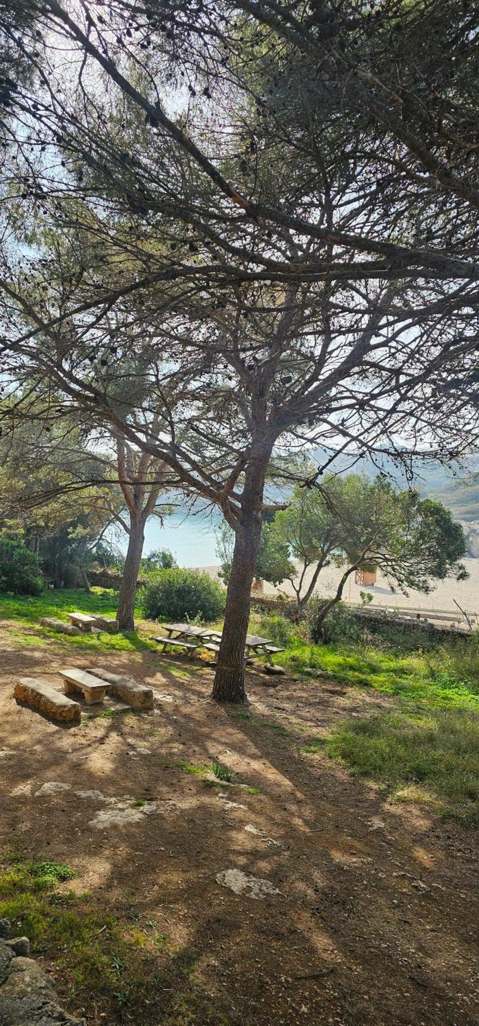 Casa Domingos Cales De Mallorca 外观 照片